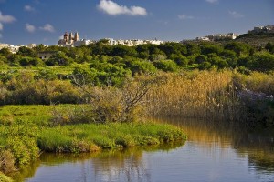 La Reserva Natural de Ghadira, uno de los santuarios de las aves en Malta. Foto de Ian Wright.